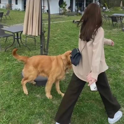 谎言对决